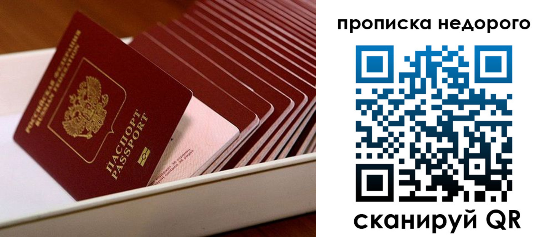прописка паспорт в Ардоне